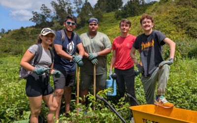 Les étudiants de l’EGC s’engagent en plantant des espèces endémiques locales