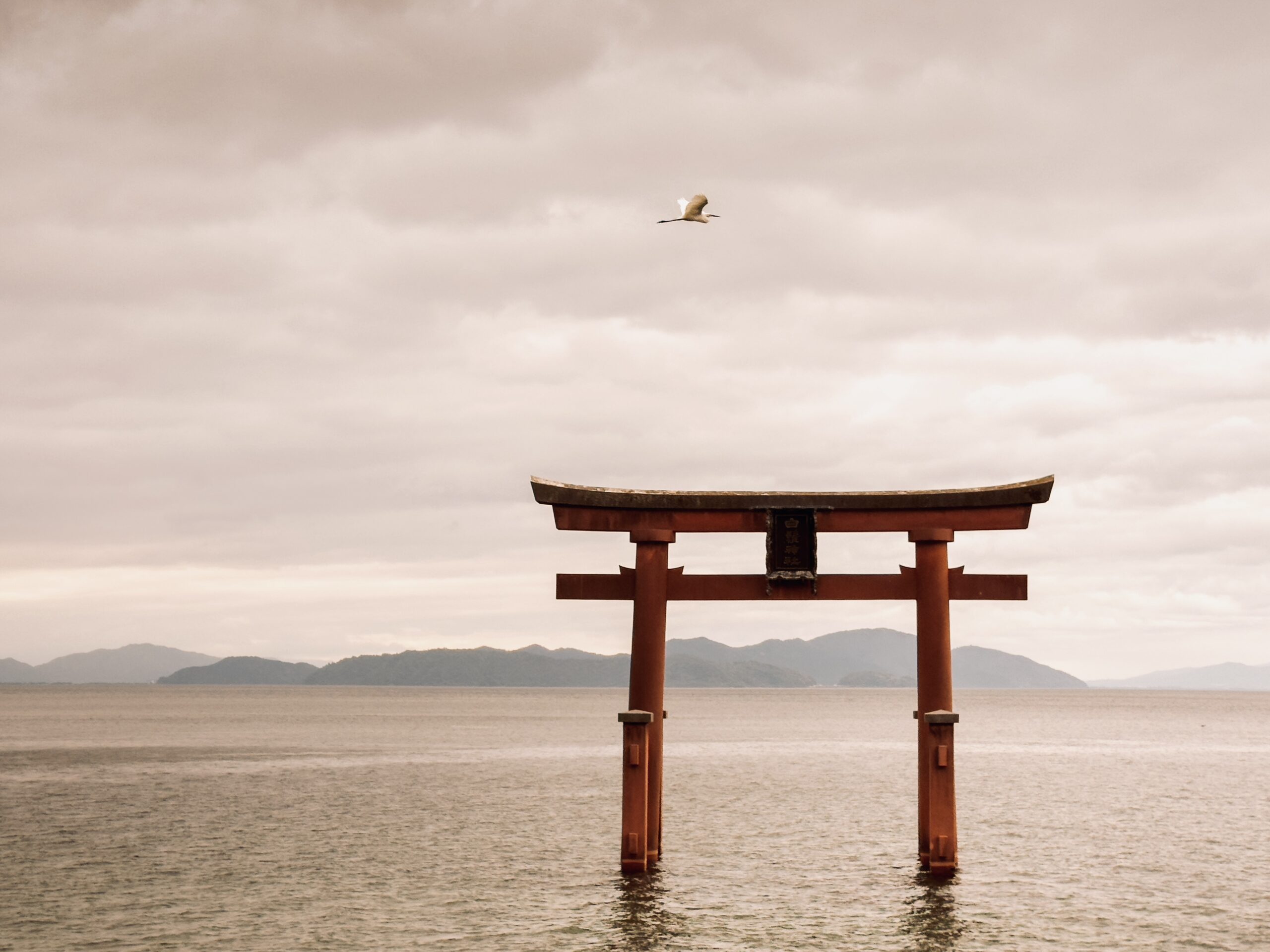 Riaz Lea - Japon 1