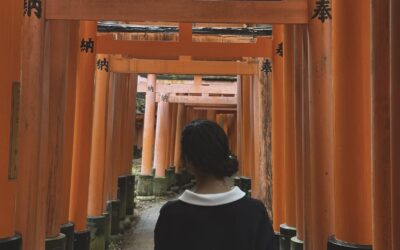Le stage à l’international : une expérience qui change tout