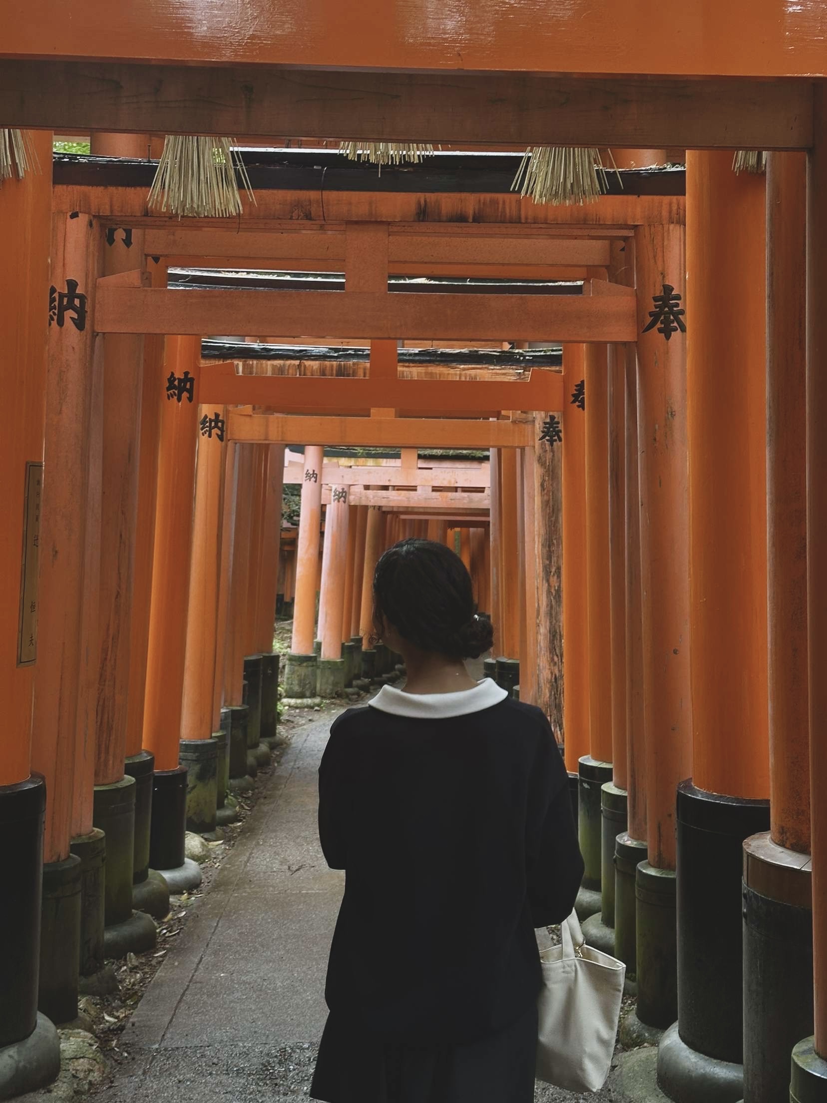 Riaz Lea - Japon 2