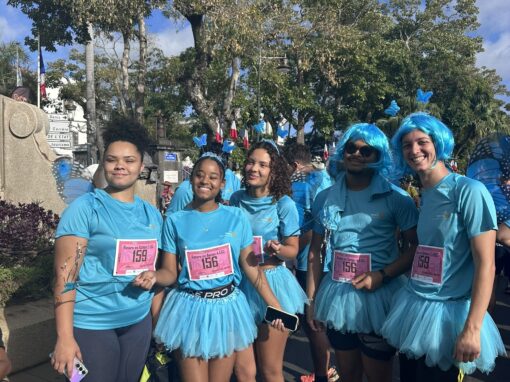 Relais Saint-Denis 2025 : l’EGC Réunion relève le défi